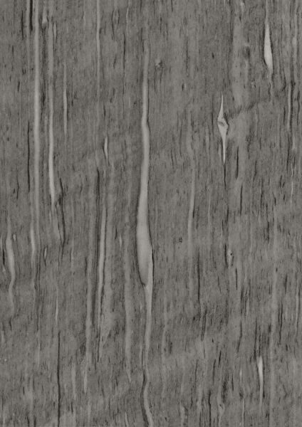 cml_d161573c_88cf1cf6